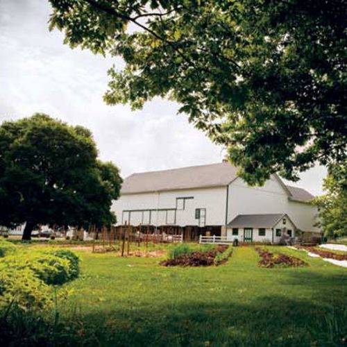 Organic Farming Program Provides Jobs for Veterans